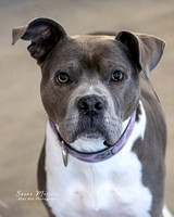 IMG_0485-Edit