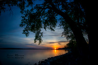 Landscapes