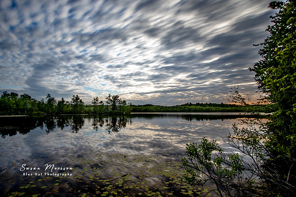 Beaver Lake
